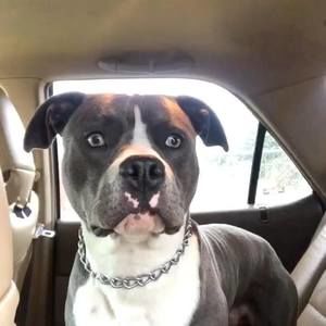 Meet your Posher, Maine